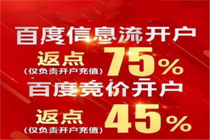 竞价端口开户在电商行业的运用